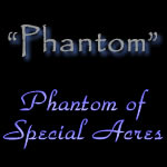 Phantom of Special Acres - Blue Irish Split-Face Italian Greyhound